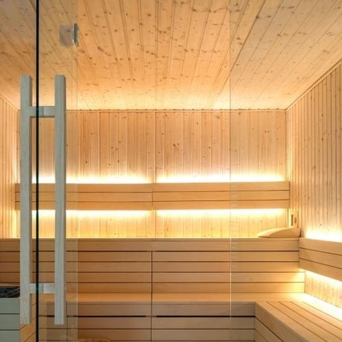 LED式灯条 - SLC SAUNA CV 24V  - The Light Group - IP67 / 防水