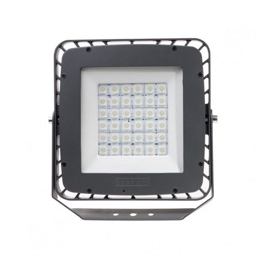 IP67投光灯 - BAHAM - BLACK LIGHT ELEKTRONIK - LED / 工业 / 公共机构用
