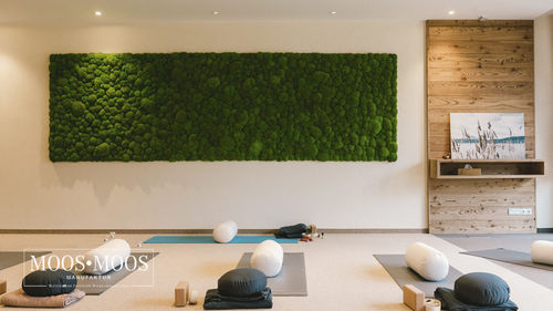 稳定绿植墙 - BALL - MOOS MOOS MANUFAKTUR - 模块化板 / 天然 / 苔藓