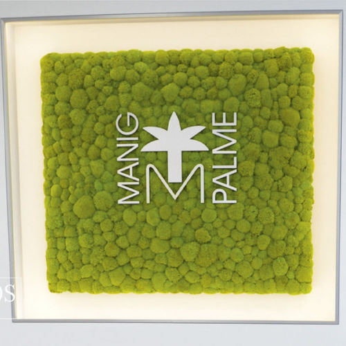 稳定绿植墙 - LOGO - MOOS MOOS MANUFAKTUR - 模块化板 / 天然 / 苔藓