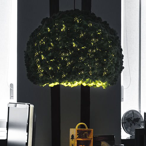稳定绿植墙 - Lamps and lights - MOOS MOOS MANUFAKTUR - 模块化板 / 天然 / 苔藓