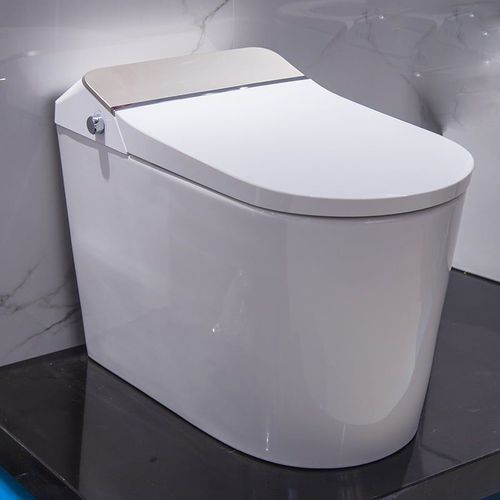 智能马桶 - MP-M6 - MOPO SANITARY WARE - 独立式 / 陶瓷 / 躺式