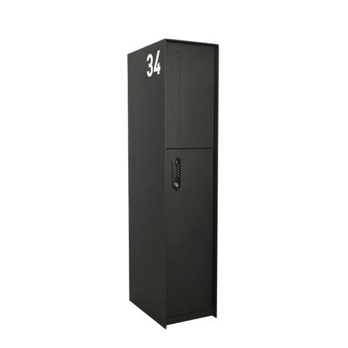 落地式包裹箱 - FENIX FRONT - eSafe - 独立型 / 密码