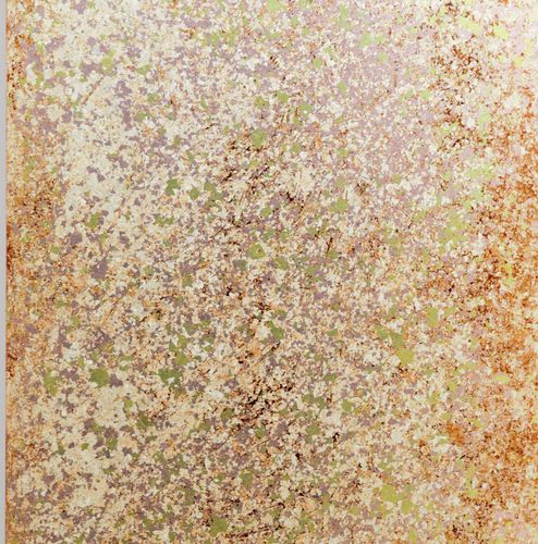 外包装饰面板 - Spring Granite - Duco - 壁挂 / 室内装潢 / 丙烯