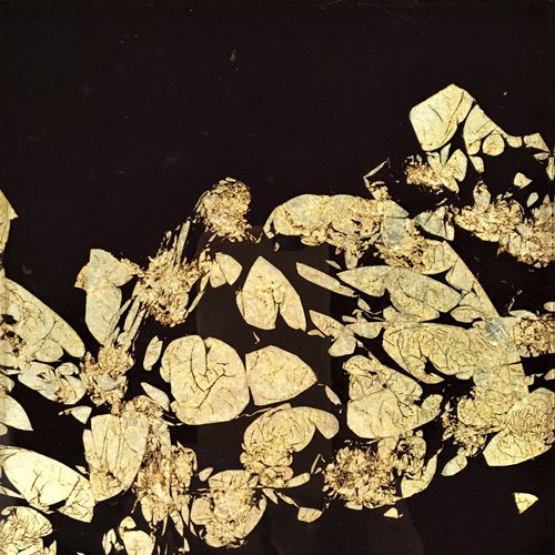 丙烯装饰面板 - FLOATING PETALS - Duco - 门用 / 壁挂 / 室内装潢