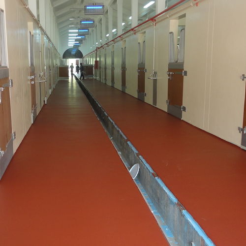 光滑涂料 - POLYSPORT 1053 - KDF - Sports Flooring Production - 防水处理 / 末道 / 用于运动场