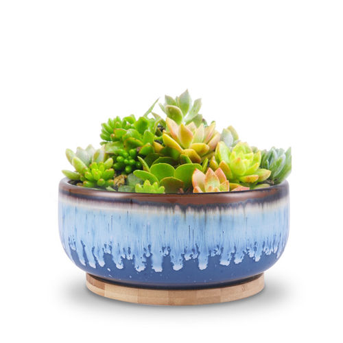 釉面陶瓷花盆 - AN0062 - Guangzhou Ancooly Gardening LTD - 独立式 / 圆形 / 家用