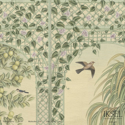 现代风格墙纸 - SC137 Trellis Exotica - Iksel Decorative Arts - 玻璃纤维 / 乙烯基 / 自然图案