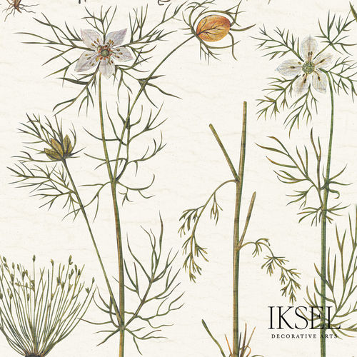 现代风格墙纸 - RW417 Herbier - Iksel Decorative Arts - 玻璃纤维 / 乙烯基 / 自然图案