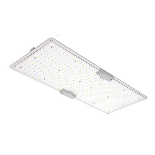 IP65投光灯 - LGLBO - kindom opto-electronic co.,ltd - LED / 专业 / 室内