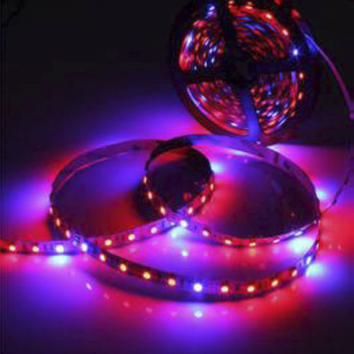 LED灯带 - KD-LGL - kindom opto-electronic co.,ltd