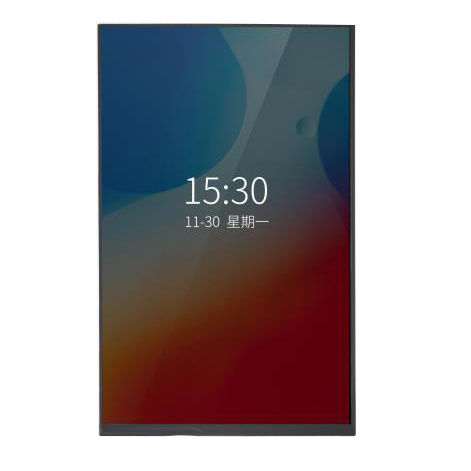 10.1"触摸屏 - VERTICAL - Guangzhou Video-Star Intelligent Corp., Ltd - 用于智能家居安装 / 门禁 / 壁挂