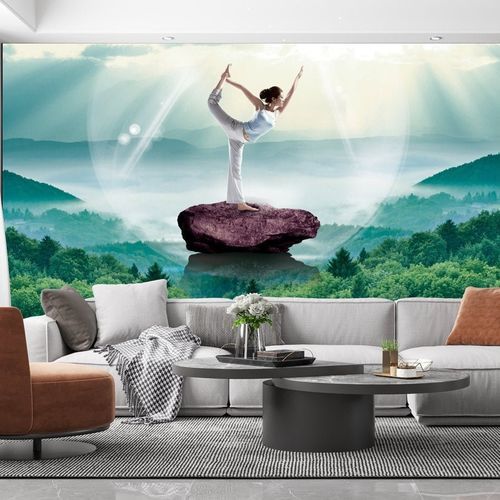 现代风格墙纸 - salle de sport Yoga Gym - MuralConcept - 无纺布 / 自然图案 / 全景式