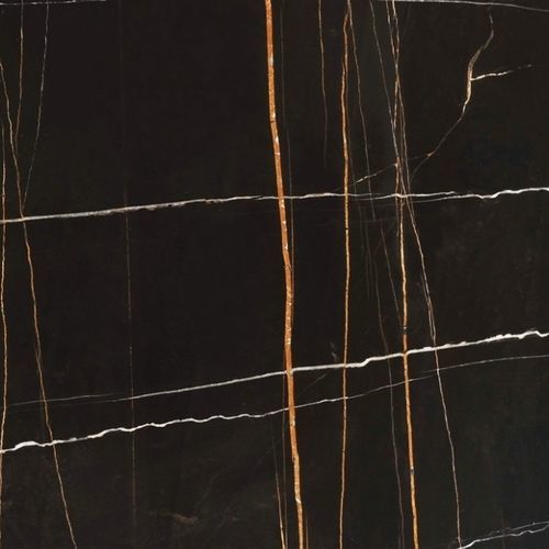 大理石瓷砖 - Sahara Noir - Pistore Marmi - 抛光 / 高亮光 / 拉绒