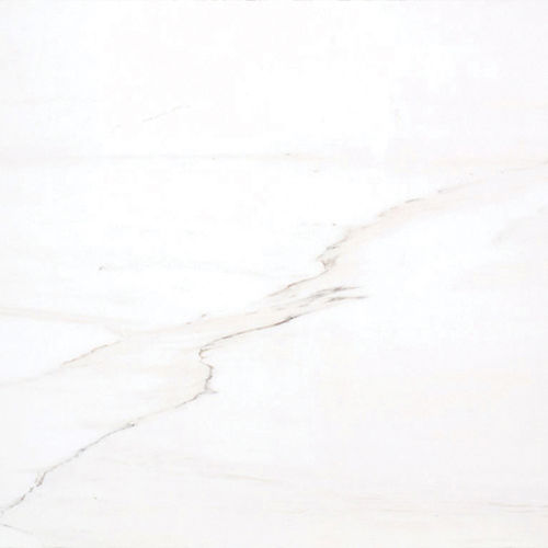 大理石天然石板 - CALACATTA LINCOLN - Fiorantina Stone - 用于地面 / 室内装潢 / 用于浴室