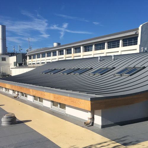 防护防水膜 - DESIGN - RENOLIT ALKORPLAN - 用于坡屋顶 / 用于屋顶 / 卷式