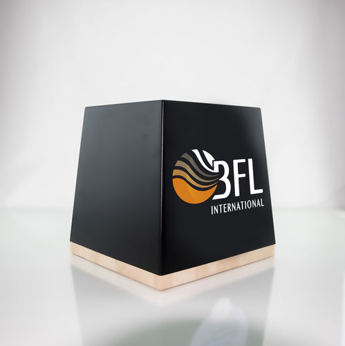 毛细血管复发防潮处理系统 - IPG® - BFL INTERNATIONAL - 防潮 / 抗盐碱 / 极性反转器
