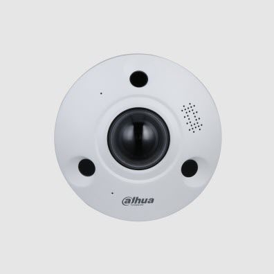 IP监控摄像头 - IPC-EBW8842-AS-IVC - Zhejiang Dahua Technology Co.,Ltd. - PTZ / 半球形 / 嵌入式