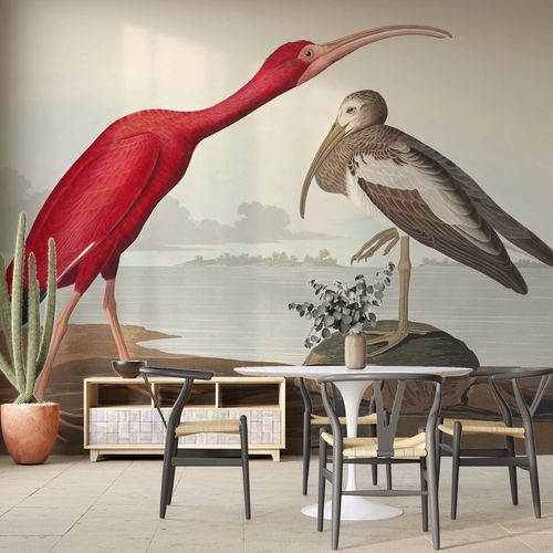 现代风格墙纸 - SCARLET IBIS - Kam et Leon - 无纺布 / 乙烯基 / 动物图案