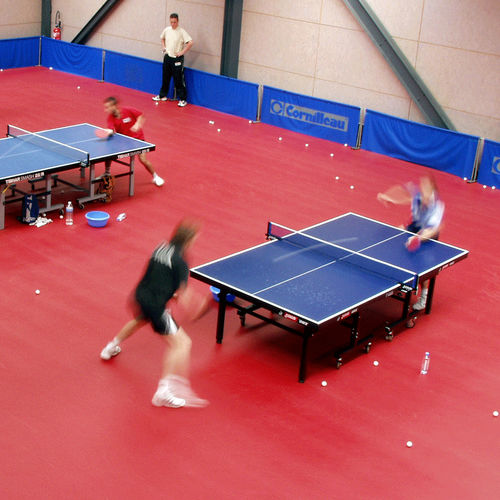 室内运动地板 - TARAFLEX® TABLE TENNIS - Gerflor - Contract Sport & Contract Flooring - PUR / PVC / 玻璃纤维