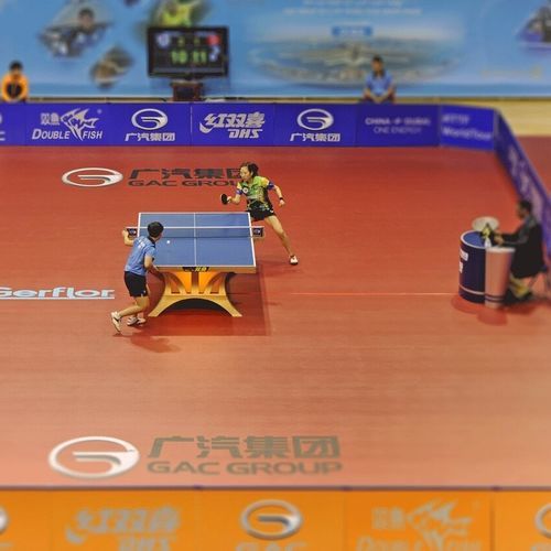 手提式运动地板 - TARAFLEX® TENIS TABLE  - Gerflor - Contract Sport & Contract Flooring - 室内 / 乙烯基 / 玻璃纤维