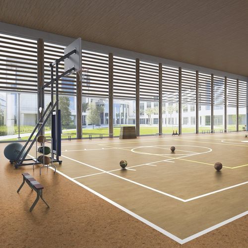 室内运动地板 - MY TARAFLEX® PERFORMANCE  - Gerflor - Contract Sport & Contract Flooring - 复合陶瓷 / 矿物 / 多功能体育馆