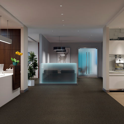 编织满铺地毯 - GENUS & VOLNAY  - Gerflor - Contract Sport & Contract Flooring - 簇绒 / 割绒 / 聚丙烯