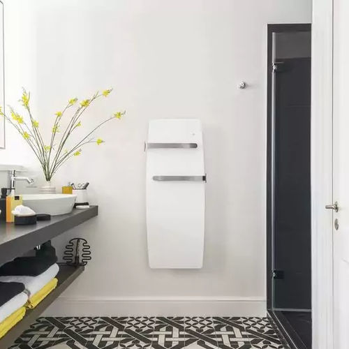 电热毛巾架散热器 - Etic bain - AIRELEC - 700w / 800 w / 1500 w