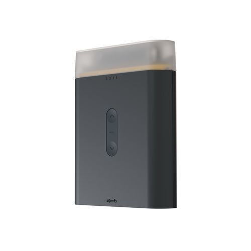 智能家居设备控制设备 - ROLLIXO PREMIUM IO - SOMFY - CO2 / 哑光