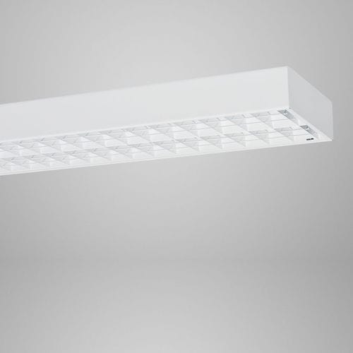 明装照明设备 - GYM 2 - REGENT LIGHTING - 天花板暗装 / LED式 / 线性