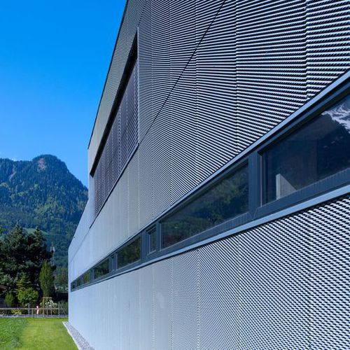 立面板 - SURFACE DESIGN  - RHEINZINK - 锌制 / 钛 / 带孔薄钢板