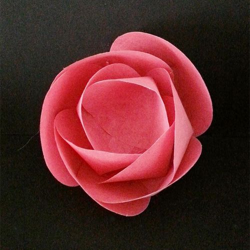 纸质雕塑 - ROSA - PROCÉDÉS CHÉNEL INTERNATIONAL - 公共机构用 / 白色 / 绿色