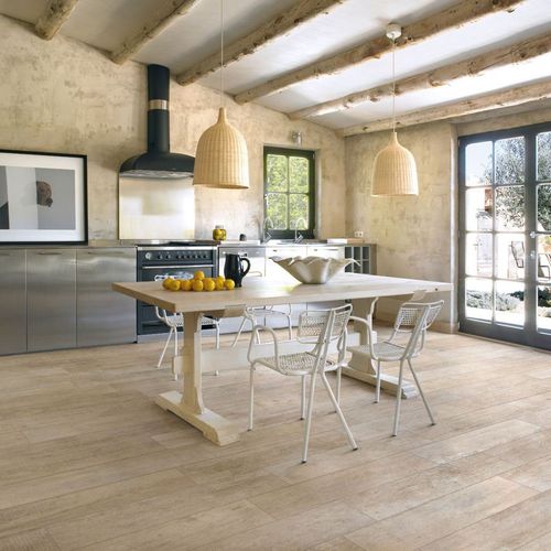 陶土瓷砖 - WOOD TREND : BIRCH - Panaria ceramica - 天然饰面 / 室内 / 地面用