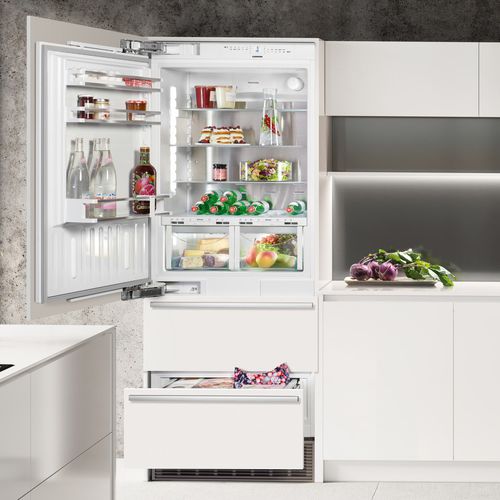 直立式冷藏冷冻柜 - ECBN 5066 PREMIUMPLUS BIOFRESH NOFROST - LIEBHERR - 抽屉 / 家用 / 嵌入式