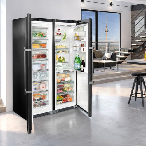 双门冰箱 - SBSBS 8673 PREMIUM BIOFRESH NOFROST - LIEBHERR - 家用 / 独立式 / 灰色