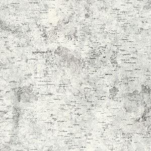 外包装饰面板 - BIRCHBARK - FORMICA - 家具 / 室内装潢 / 高强度