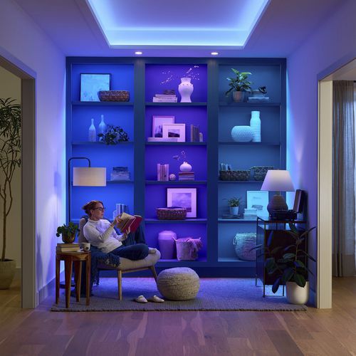 LED灯带 - LU-TXX-RGBTW-IN - LUTRON ELECTRONICS