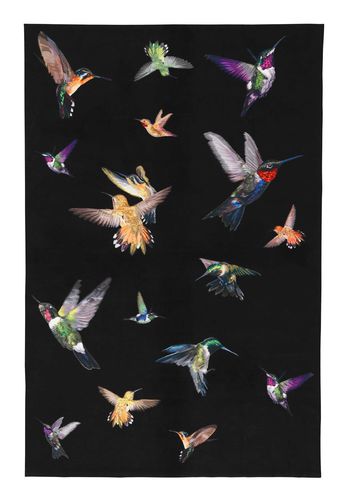 现代风格地毯 - HUMMINGBIRD - The Rug Company - 图案 / 丝绸 / 长方形