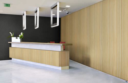 壁挂装饰面板 - LINEAR LINE PANEL STYLE LL3 - Smith & Fong Plyboo - 竹制 / 凹凸