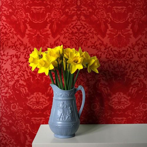 传统风格墙纸 - DEVIL DAMASK FLOCK - Timorous Beasties - 巴洛克图案 / 黑色 / 红色