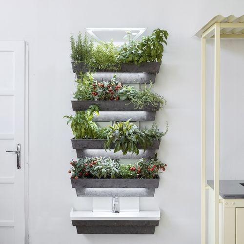 活植物垂直花园 - Hedera 4 - lightgreen srl - 定制 / 花卉 / 室内