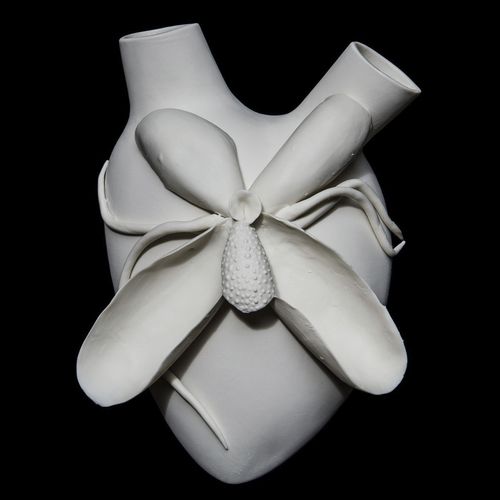 现代风格花瓶 - PHALAENOPSIS - ELICA STUDIO - 瓷质 / 墙壁 / 手工