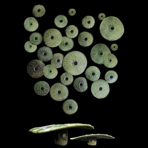 瓷质雕塑 - NINPHAEAE - ELICA STUDIO - 砂岩 / 手工 / 壁挂
