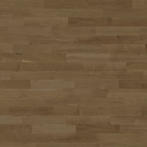 层压地板 - ACTUS EMOCION – AMBER - STÖCKL PARKETT - 栎木 / HDF高密度板 / 山形纹