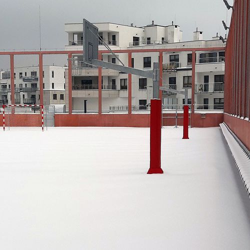 户外篮球架 - 1-29P-15 - Pesmenpol - 带底座 / 认可 / 钢