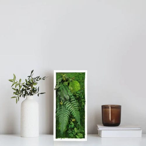 稳定植物画框 - ELEGANCE 18X38 - naturall green - 苔藓 / 树叶 / 花卉