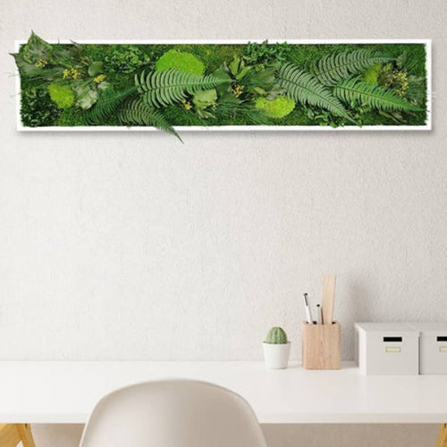 稳定植物画框 - ELEGANCE 25X115 - naturall green - 天然 / 树叶 / 花卉