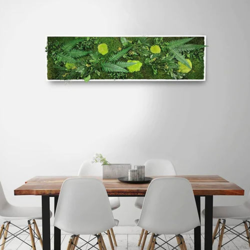 稳定植物画框 - ELEGANCE 40X140 - naturall green - 天然 / 花卉 / 室内