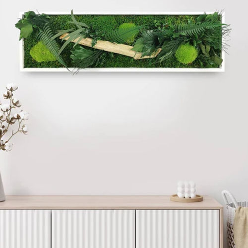 稳定植物画框 - 20x70 - naturall green - 天然 / 树叶 / 室内