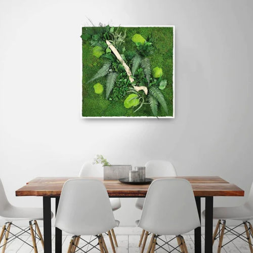 稳定植物画框 - 80x80 - naturall green - 天然 / 树叶 / 室内